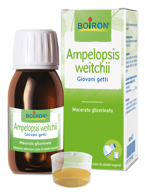 AMPELOPSIS WEITCHII MACERATO GLICERICO 60 ML INT - Luckyfarma.it