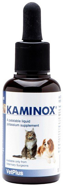 KAMINOX SCIROPPO 60 ML - Luckyfarma.it