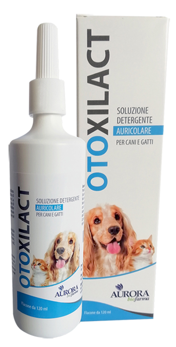OTOXILACT DETERGENTE AURICOLARE - Luckyfarma.it