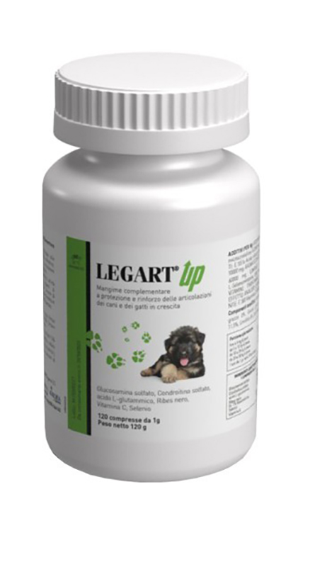 LEGART UP 120 COMPRESSE - Luckyfarma.it