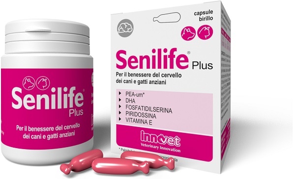 SENILIFE PLUS 30 CAPSULE - Luckyfarma.it