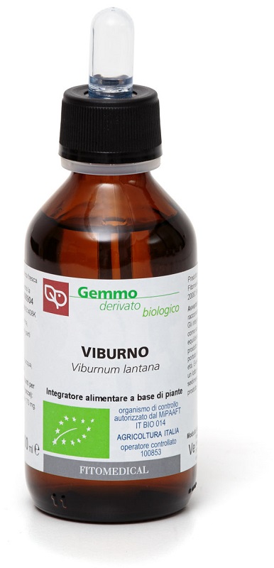 VIBURNO MACERATO GLICERINATO BIO 100 ML - Luckyfarma.it